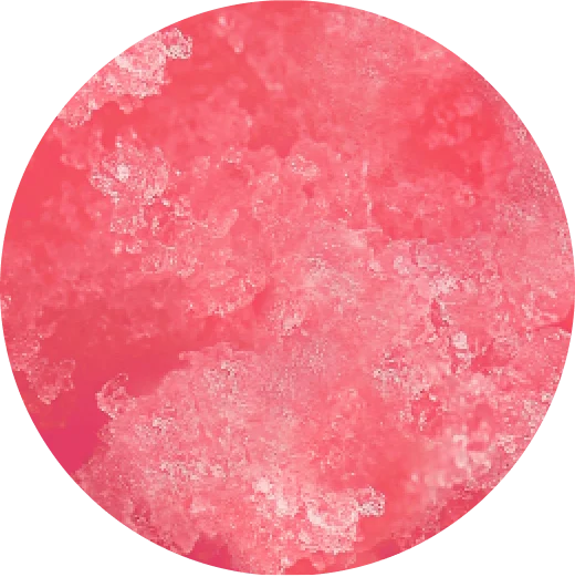 VEEV ONE Watermelon e-liquid pod 